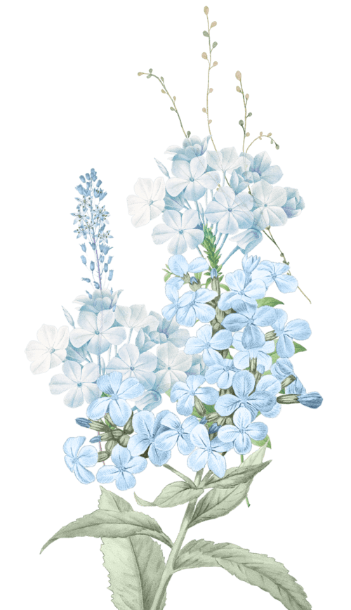 Flower Right (2).png